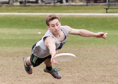 College junior Jacob Gilbert lays out to snag a disc at the USA Ultimate Sanctioned Tournament Division III Easterns on March 21, 2015. The Horsecows qualified for Regionals last weekend at their Sectionals competition in Columbus, Ohio. The team will travel to Allentown, PA, next weekend in pursuit of a bid to Nationals.