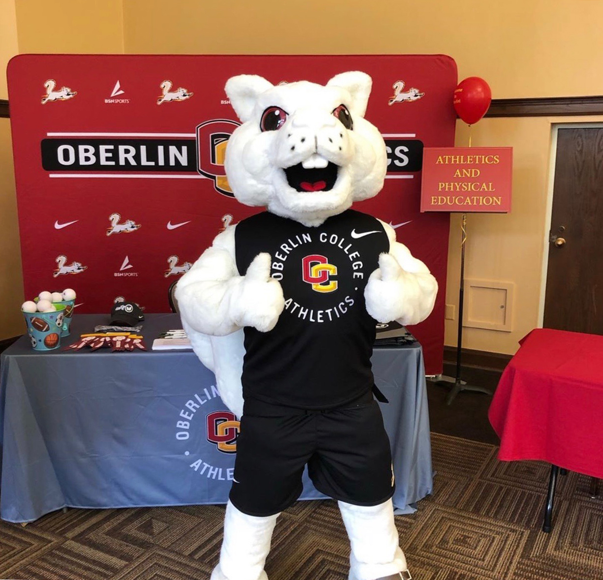 New Albino Squirrel Mascot Unveiled – The Oberlin Review