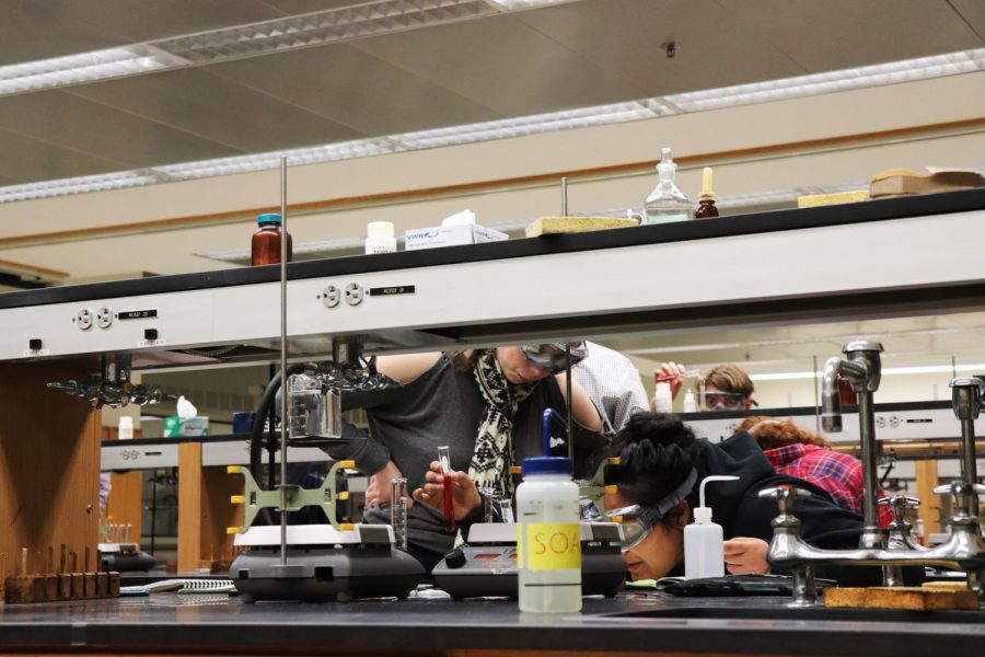 Students in a lab in the Science Center. The Office of Undergraduate Research supports students who hope to pursue faculty-guided research.