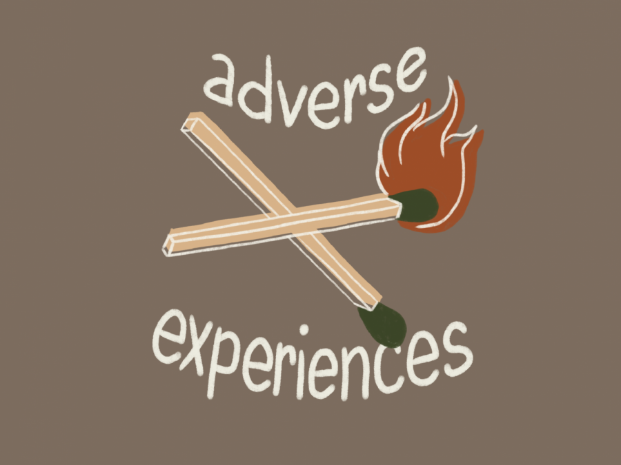 Did you have any adverse experiences that you would like to expand upon?
