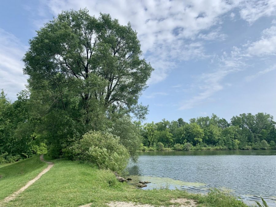 The Morgan Street Reservoirs at the Arb will be remodeled this fall to avoid potential flooding of local neighborhoods and add features such as walkways and observation areas. 
