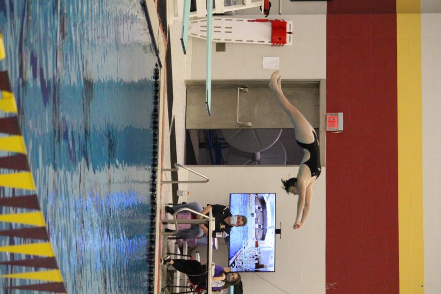 A+student+dives+during+the+Oberlin+Swim+Invitational.