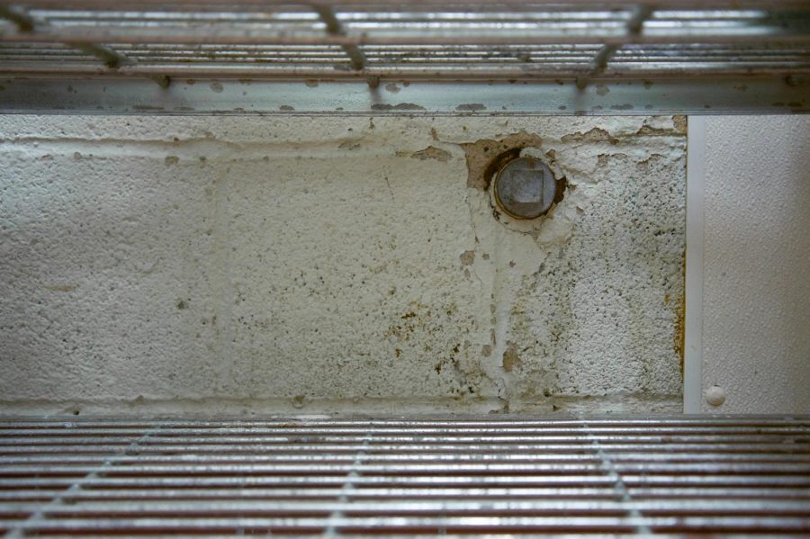 Mold and water damage were found in OSCA buildings.