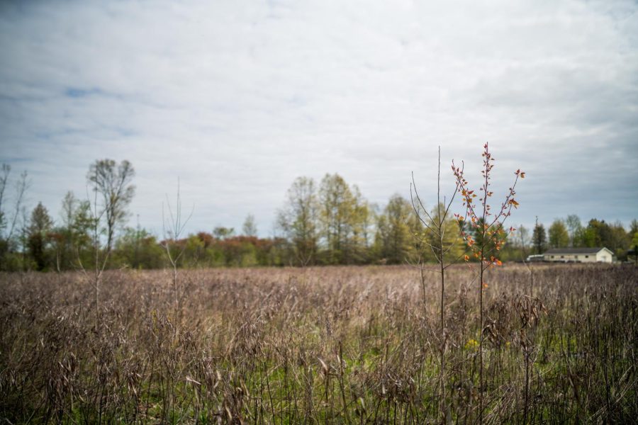 Land owned by Omega Health Services, LLC could be rezoned for development. 