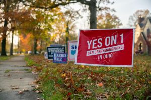 Issue 1 potentially offers a protection against gerrymandering.